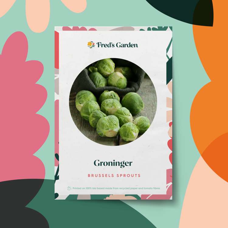 Brysselkål 'Groninger' (frö)